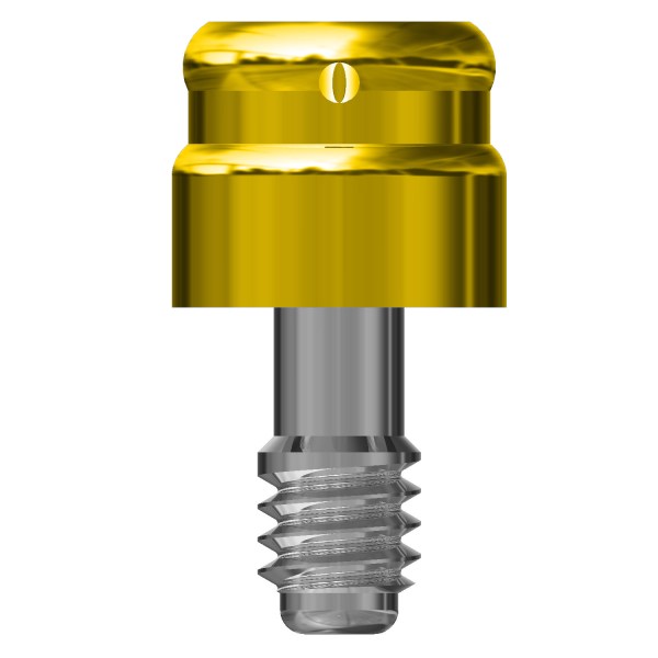 MONCONE CONNEKTOR H2 copia4